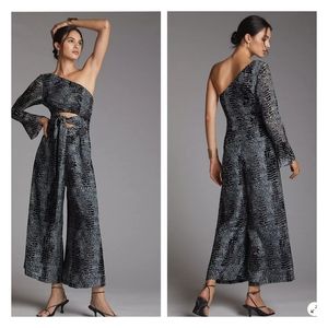 Anthropologie One-Shoulder Burnout Velvet Jumpsuit size S